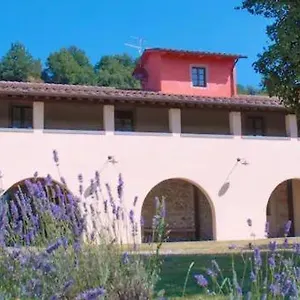 https://azienda-agricola-lo-zolfino.it-tuscanyhotel.com
